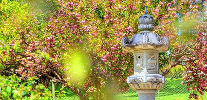 Cowra Sculpture Park